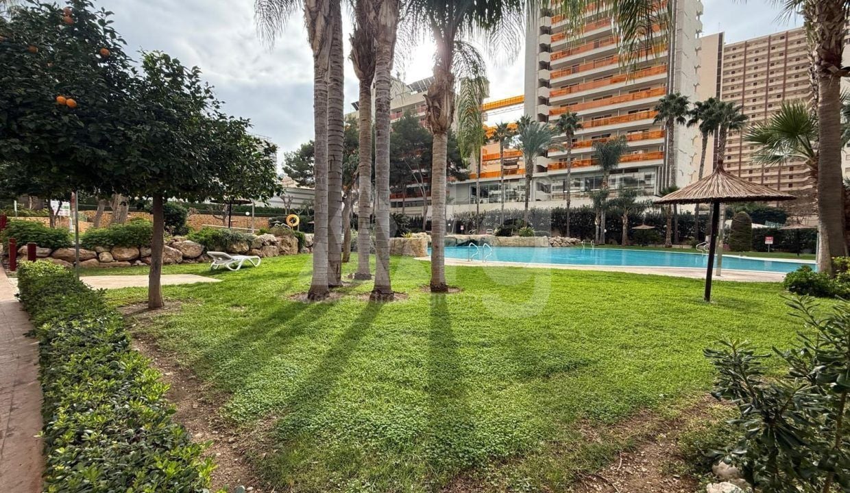 Appartement de 1 chambre à Benidorm - BNB96810 - Photo - 1