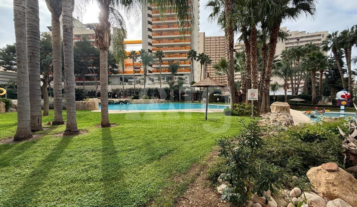 Appartement de 1 chambre à Benidorm - BNB96810 - Photo - 2