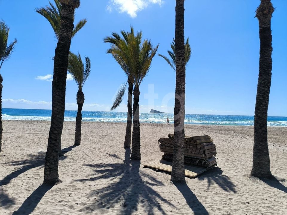 Appartement de 1 chambre à Benidorm - BNB96822 - Photo - 14