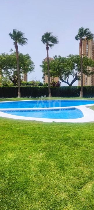1 bedroom Apartment in Benidorm - HMC97285 - Photo - 23