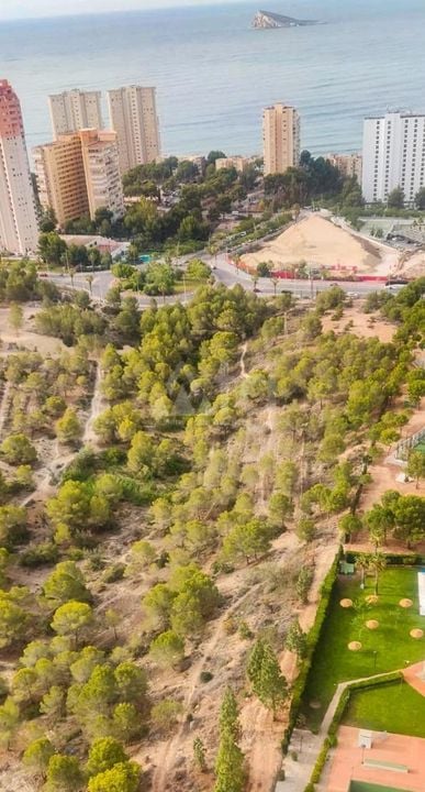 1 bedroom Apartment in Benidorm - HMC97285 - Photo - 24