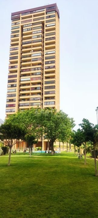 1 bedroom Apartment in Benidorm - HMC97285 - Photo - 21