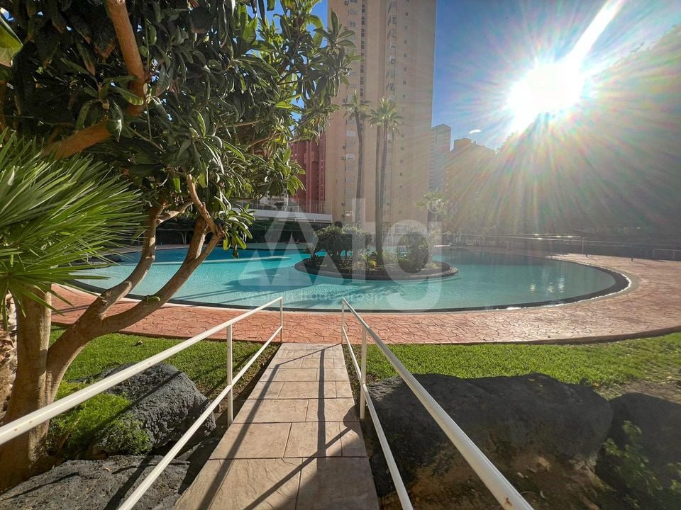 1 bedroom Apartment in Benidorm - HMC97296 - Photo - 2