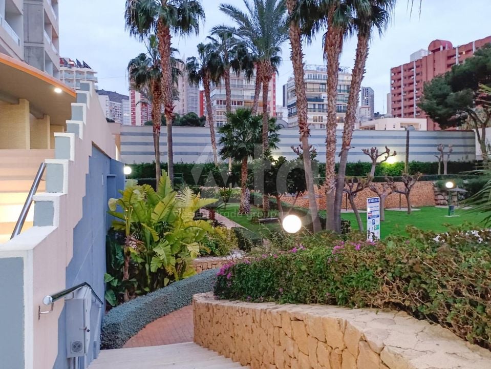 Appartement de 2 chambres à Benidorm - HMC97311 - Photo - 20