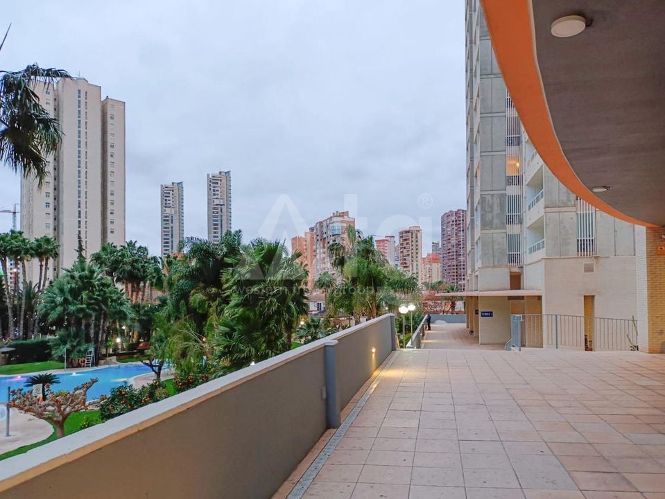 Appartement de 2 chambres à Benidorm - HMC97311 - Photo - 18