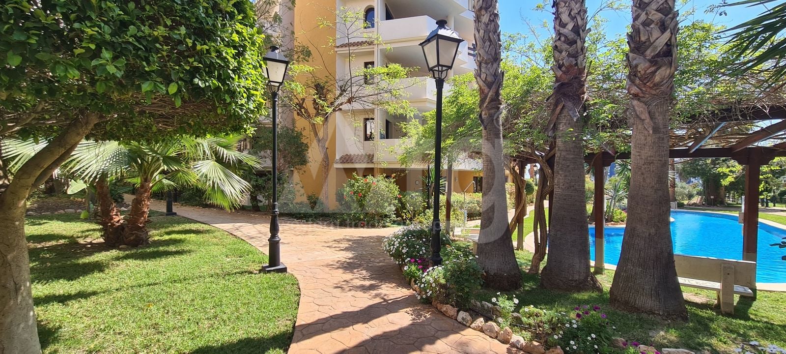 1 bedroom Penthouse in Torrevieja - ERV97733 - Photo - 22