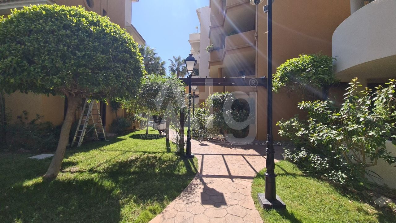 1 bedroom Penthouse in Torrevieja - ERV97733 - Photo - 25
