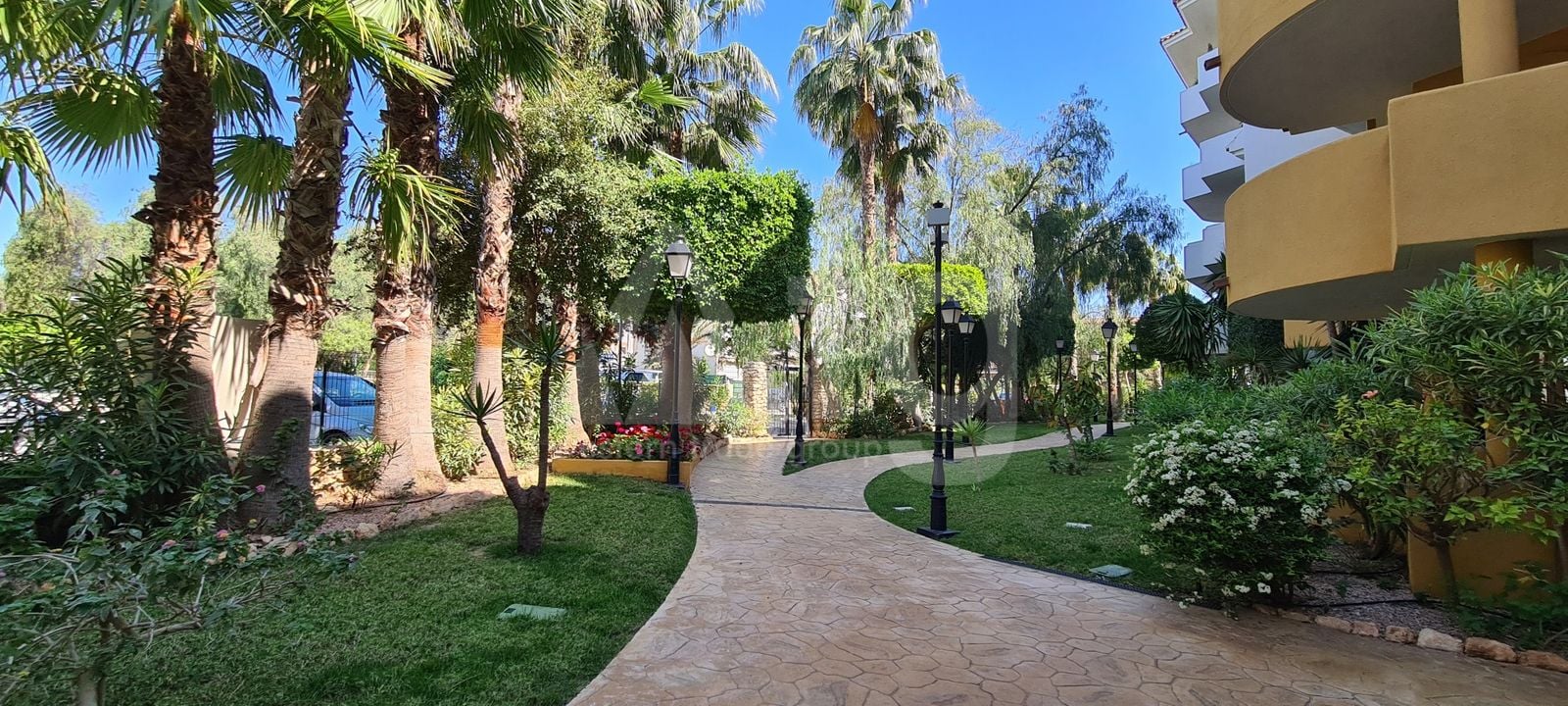 1 bedroom Penthouse in Torrevieja - ERV97733 - Photo - 23