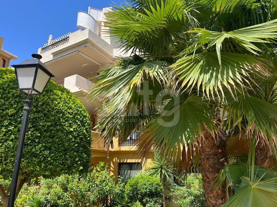 1 bedroom Penthouse in Torrevieja - ERV97733 - Photo - 2