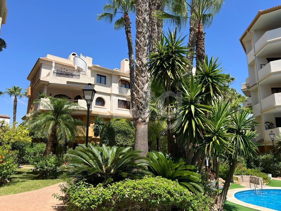 1 bedroom Penthouse in Torrevieja - ERV97733 - Photo - 1