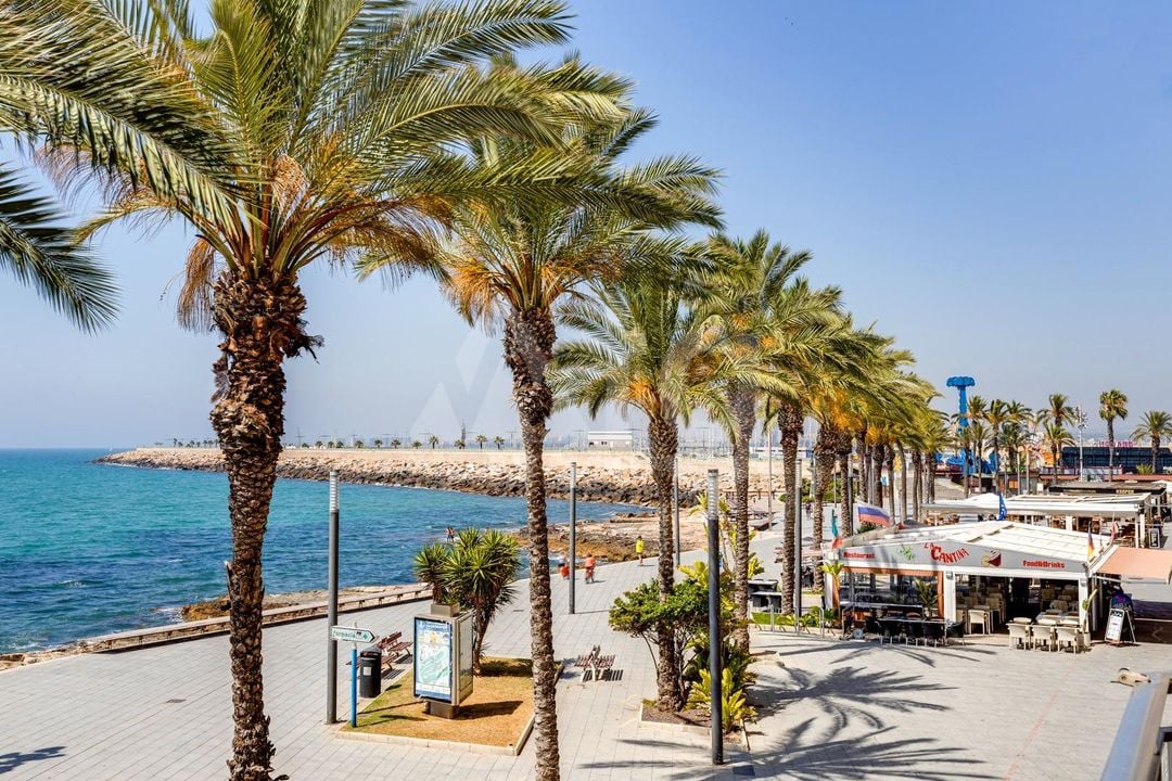 2 bedroom Apartment in Torrevieja - CYM146979 - Photo - 36
