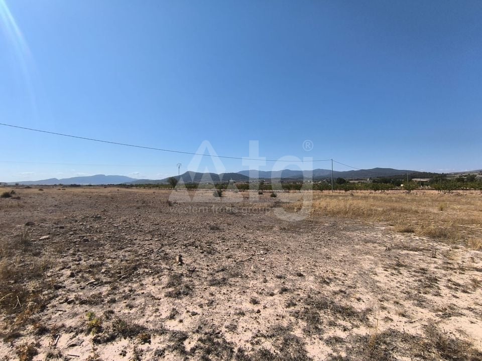 Pozemek   v Pinoso, - SIP97865 - Foto - 5
