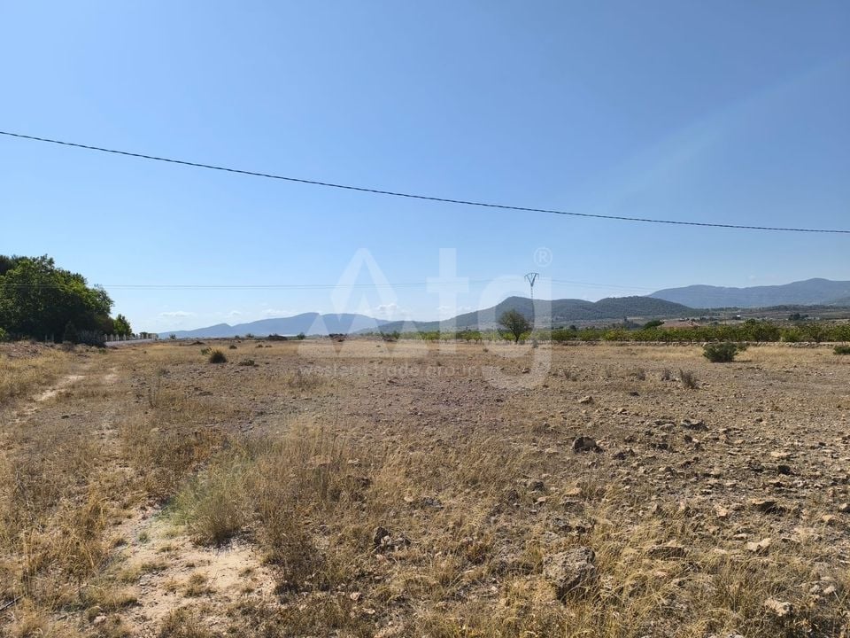 Pozemek   v Pinoso, - SIP97865 - Foto - 2