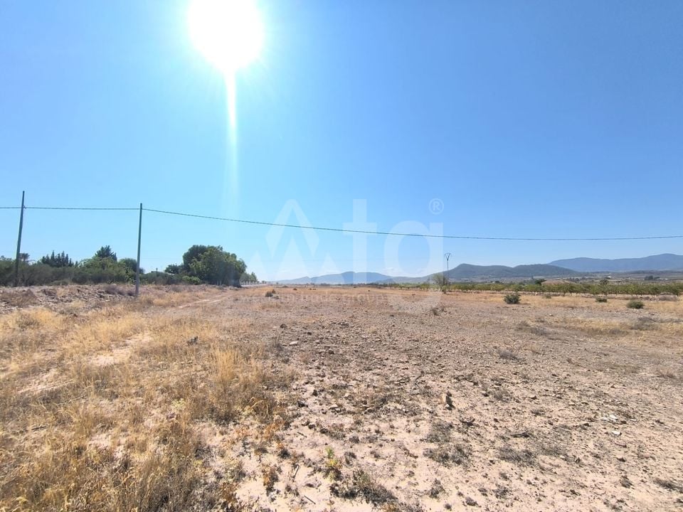 Pozemek   v Pinoso, - SIP97865 - Foto - 1