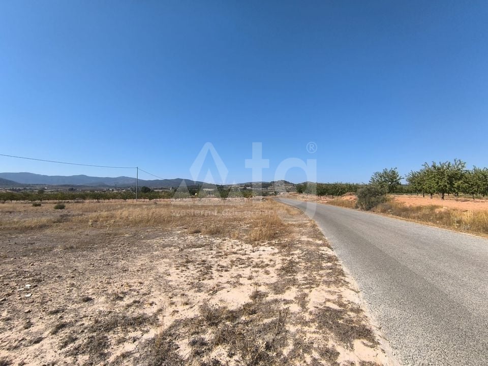 Pozemek   v Pinoso, - SIP97865 - Foto - 3