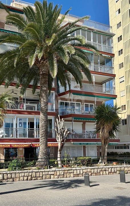 Appartement de 3 chambres à Benidorm - HMC98031 - Photo - 15