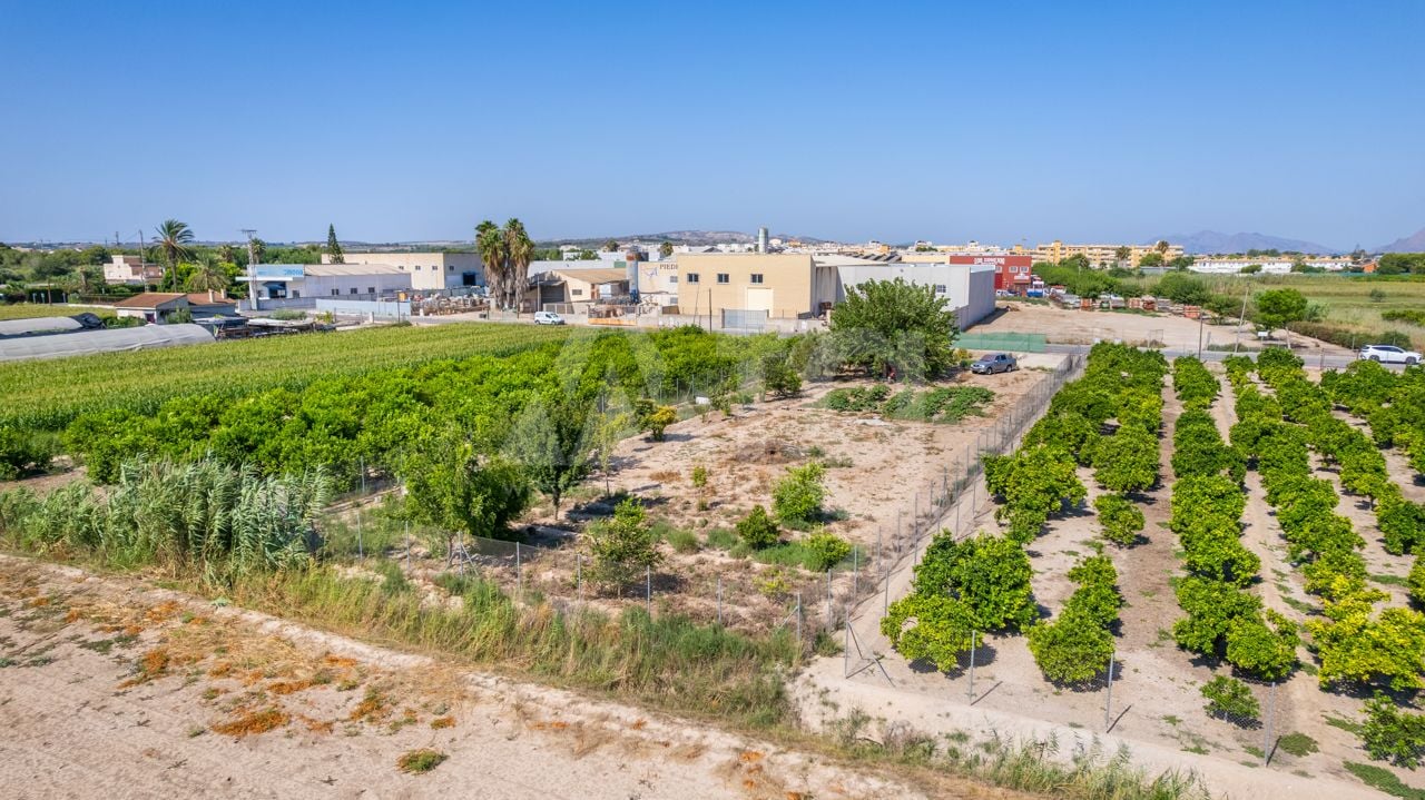 Pozemek   v Formentera del Segura, - SRT98040 - Foto - 1