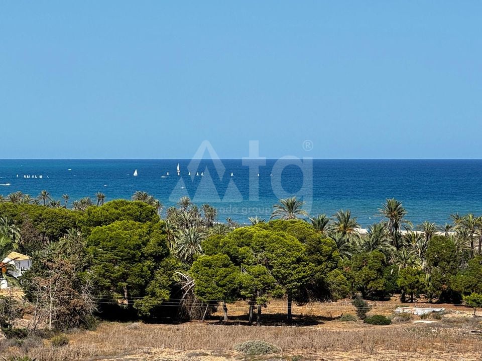 Apartament w Punta Prima, 3 sypialnie - LR98135 - Zdjęcie - 18