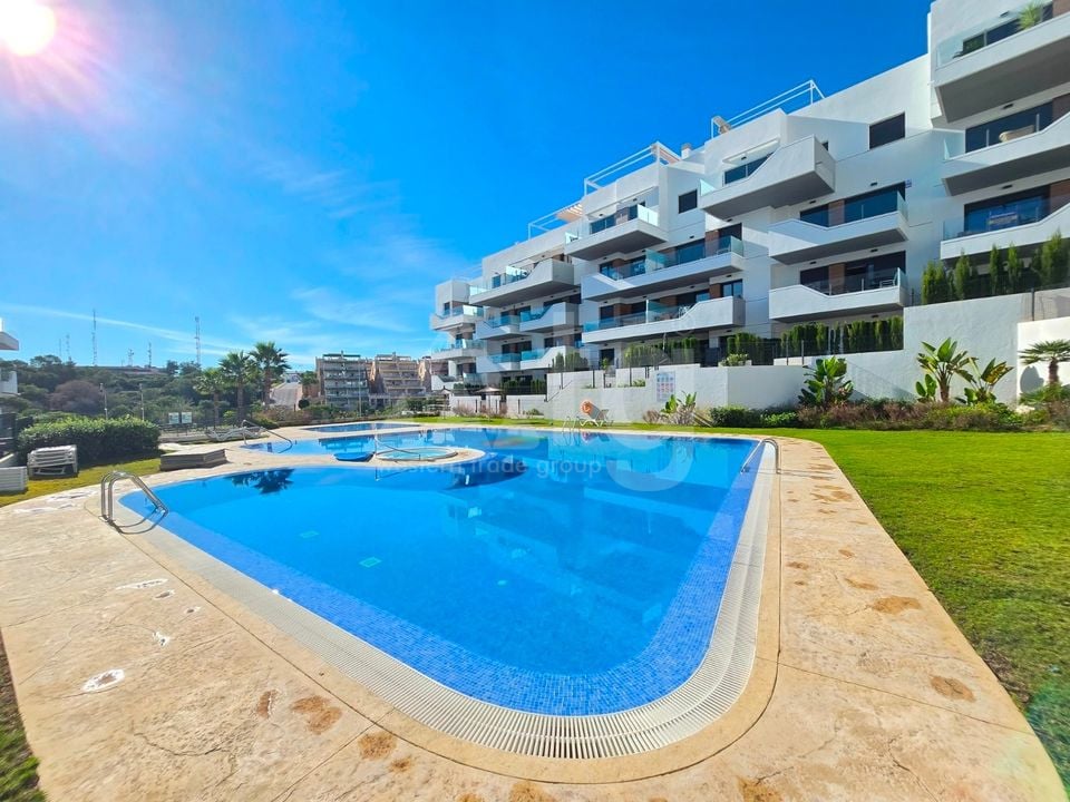 2 bedroom Apartment in Villamartin - VC136910 - Photo - 22