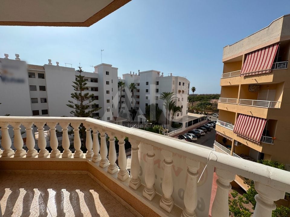 Appartement de 3 chambres à Guardamar del Segura - NSP149196 - Photo - 14