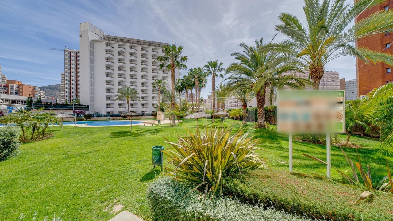 1 bedroom Apartment in Benidorm - AG150817 - Photo - 35