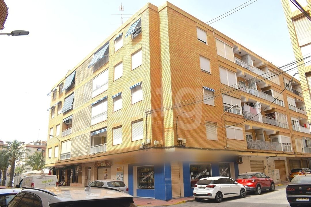 3 Schlafzimmer Appartement in Guardamar del Segura - JL157179 - Foto - 1