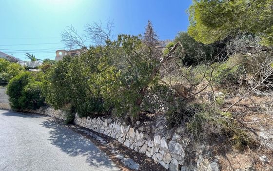 Pozemek   v Calpe, - IMBR100283 - Foto - Small - 6