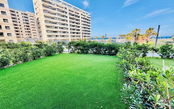 2 bedroom Apartment in Torrevieja - CT100313 - Photo - Small - 15