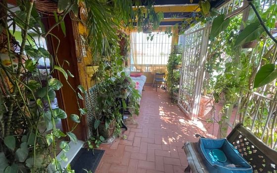Villa de 3 chambres à Rojales - MP100823 - Photo - 3