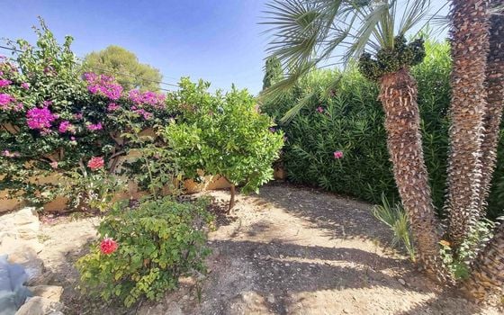 Villa de 3 chambres à Alfaz del Pi - ABC101100 - Photo - Small - 21