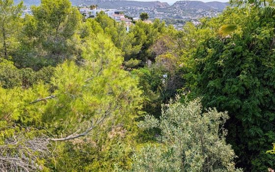 4 bedroom Villa in Moraira - CBP101239 - Photo - Small - 45