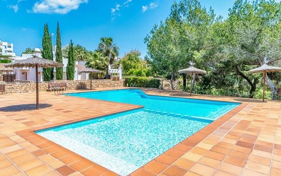 2 bedroom Penthouse in Orihuela Costa - TIM134018 - Photo - Small - 22