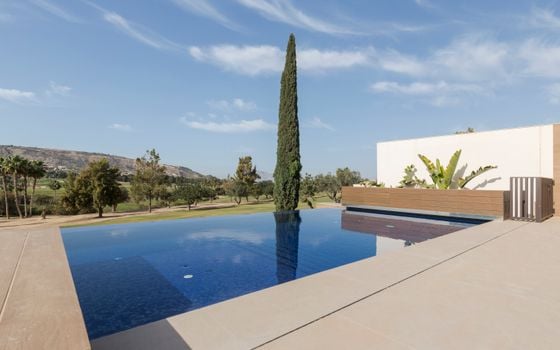 3 bedroom Villa in Algorfa - TRI142098 - Photo - Small - 23