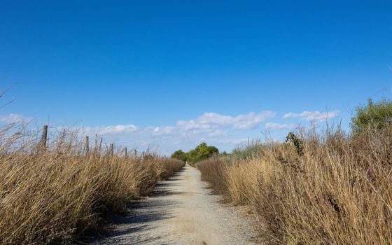 4 bedroom Villa in Torrevieja - SHL101737 - Photo - Small - 38