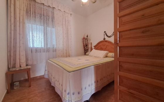 Bungalow de 2 chambres à Torrevieja - VEC102806 - Photo - Small - 6