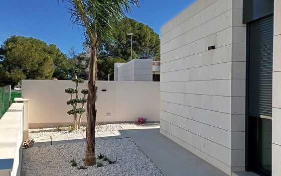 3 bedroom Villa in Pilar de la Horadada - TRX144232 - Photo - Small - 38