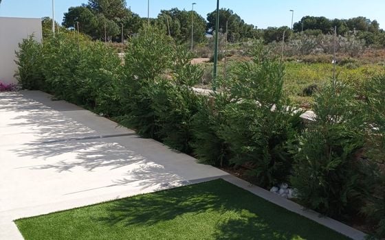 3 bedroom Villa in Pilar de la Horadada - TRX144232 - Photo - Small - 40
