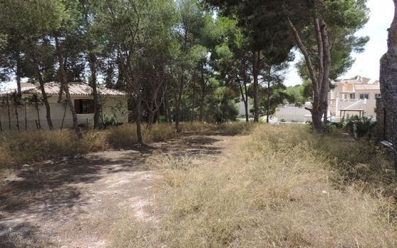 Parcela de  en Pinar de Campoverde- OKW104525 - Foto - 2