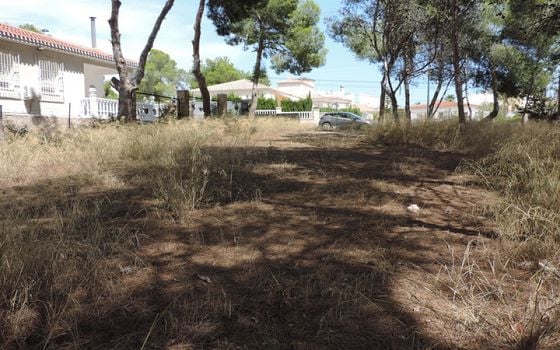 Parcela de  en Pinar de Campoverde- OKW104525 - Foto - 4