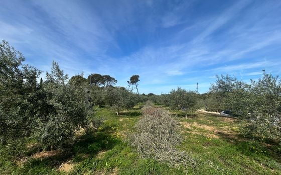 3 bedroom Villa in Denia - MLC146206 - Photo - Small - 52
