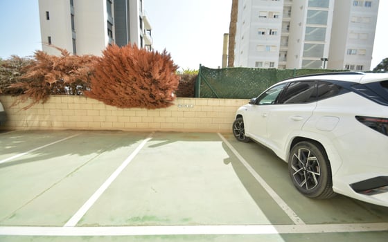 2 bedroom Apartment in Guardamar del Segura - LCP105027 - Photo - Small - 20