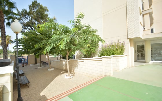 2 bedroom Apartment in Guardamar del Segura - LCP105027 - Photo - Small - 22