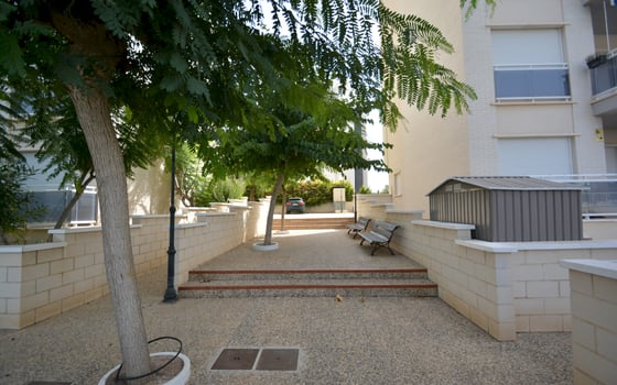 2 bedroom Apartment in Guardamar del Segura - LCP105027 - Photo - Small - 23