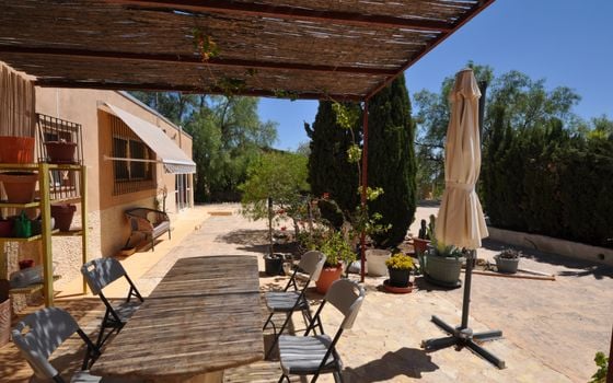5 bedroom Villa in Crevillente - SLN105712 - Photo - 5