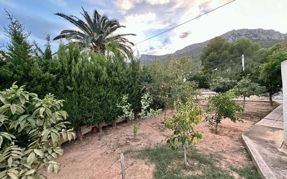 Villa de 4 chambres à Calp - BVS106018 - Photo - Small - 21