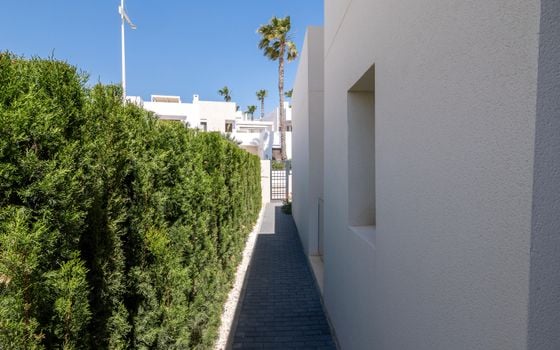 4 bedroom Villa in Algorfa - PGS139456 - Photo - Small - 30