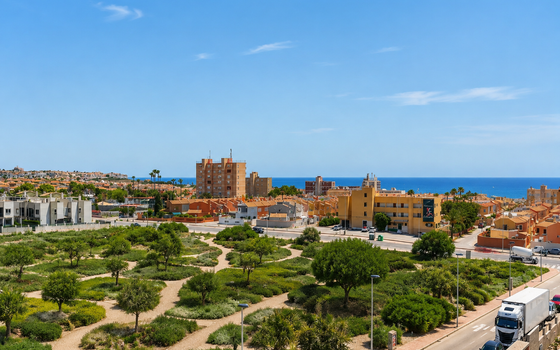 2 bedroom Penthouse in Torrevieja - RUG147839 - Photo - Small - 37