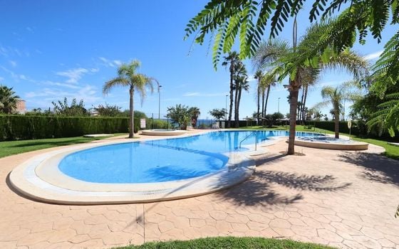 2 bedroom Penthouse in Pilar de la Horadada - CRR106412 - Photo - 2