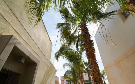 3 bedroom Villa in Ciudad Quesada - TWTG147980 - Photo - Small - 38