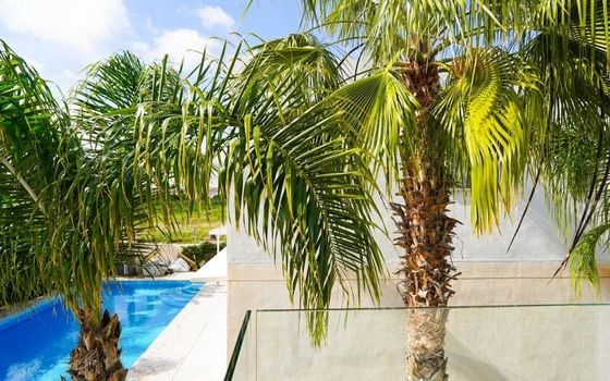 3 bedroom Villa in Ciudad Quesada - TWTG147980 - Photo - Small - 33